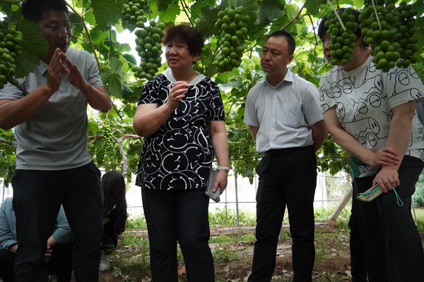 1706240372638290.png 8【臺盟】2023年7月13至14日,住(1088244)-20240126083604.png