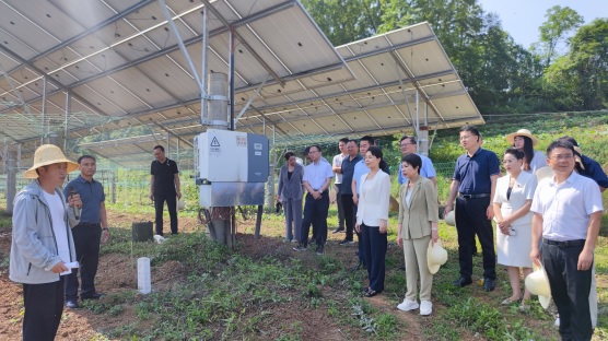 1718326453106159.jpg (圖片新聞1)漢中市政協舉辦“政協天漢沙(1217812)-20240614085213.jpg