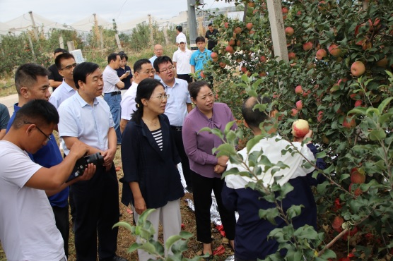 1728521682300404.jpg 喜看碩果滿枝挑(1317805)-20241010085312.JPG