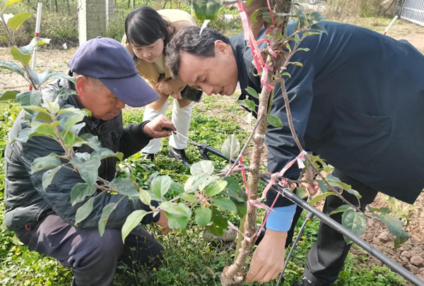 1735176012731411.png 侯智濤(1392677)-20241226090354.png