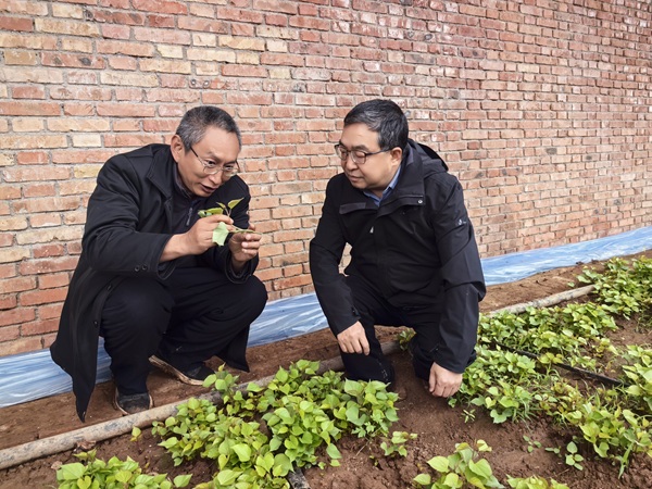 1740617475110591.jpg 倒頭條配圖(1469787)-20250227085026.jpg